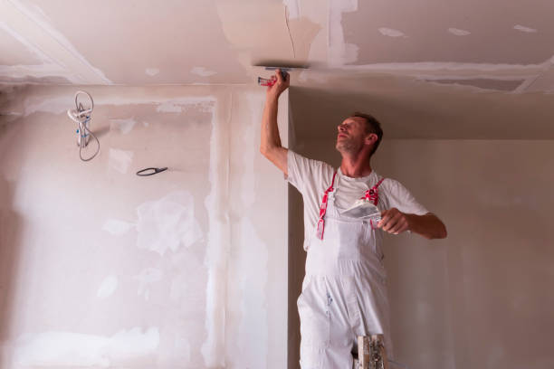 Best Residential Painting  in Upland, IN